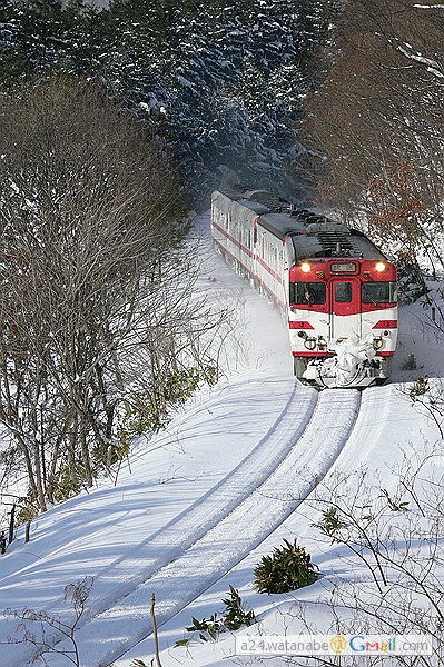 img0100.jpg