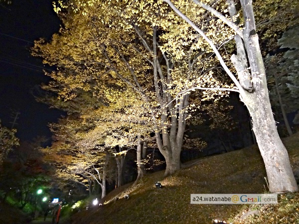 DSC04092
